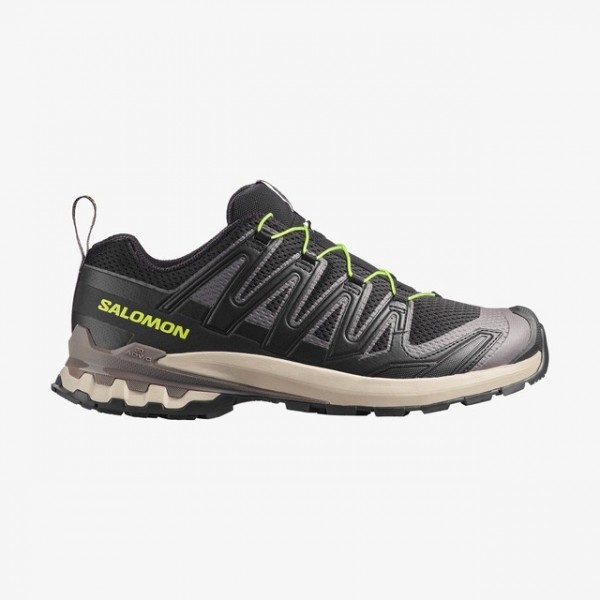 Salomon XA PRO 3D V9