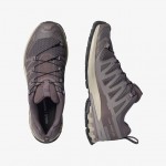 Salomon XA PRO 3D V9